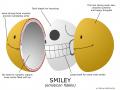 Anatomy_of_a_Smiley_by_MK01.png