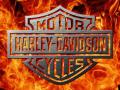 Harley_Fire_and_Metal.jpg
